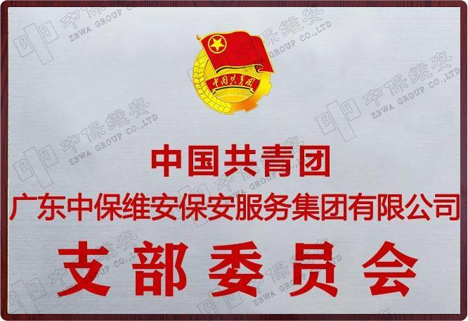 中国共青团支部委员会证书
