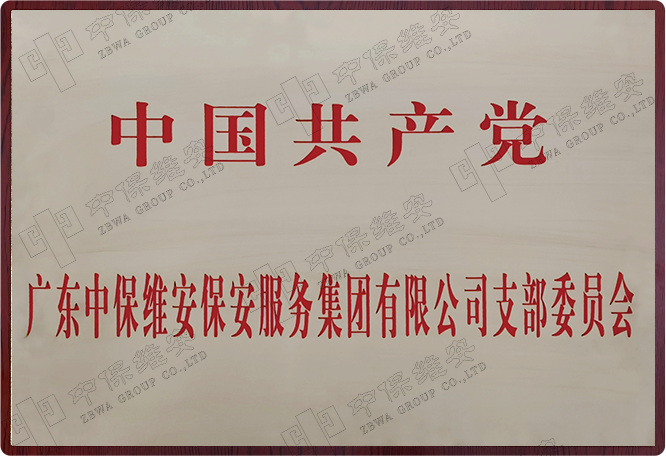 中国共产党支部委员会证书